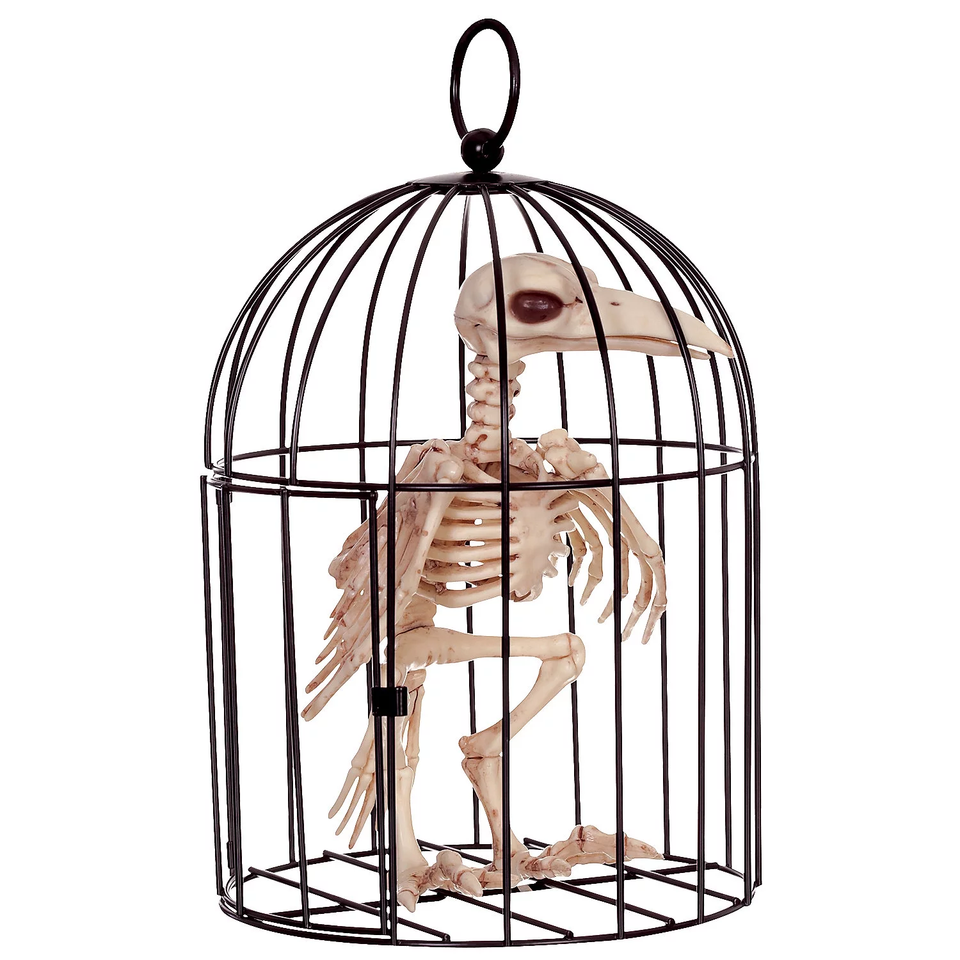 9.5" Skeleton Crow in a Cage Halloween Decoration eBay