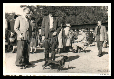 Foto, Rassehundeschau Erzgeb., Teckel Siegerausstellung in Leipzig e, 5026-1230