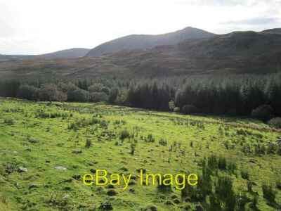 Photo 6x4 Forest edge, Bluestacks Mountains Letterkilley  c2012