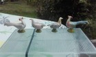Bild 6 von 9