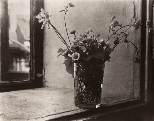 1950/80 Original JOSEF SUDEK Silver Gelatin Photo Meadow Flower Vase Still Life