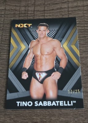 #12/25 2017 Topps WWE NXT Roster Tino Sabbatelli #31 Silver RC