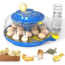 Series III - 18 Egg Automatic Incubator with Humidity  Temp Control, Black