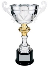 Awards and Trophies Real Metal Cup Trophy in Silver - Trophy Award, Engraved ...