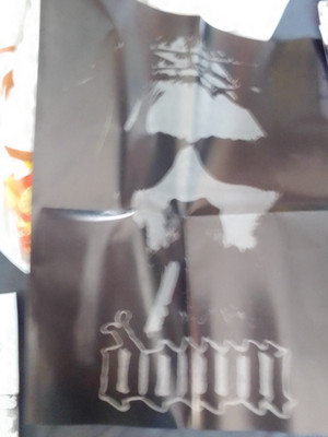 gesuchtes Poster : PHIL LYNOTT  ; rückseite:    DOWN , thin lizzy