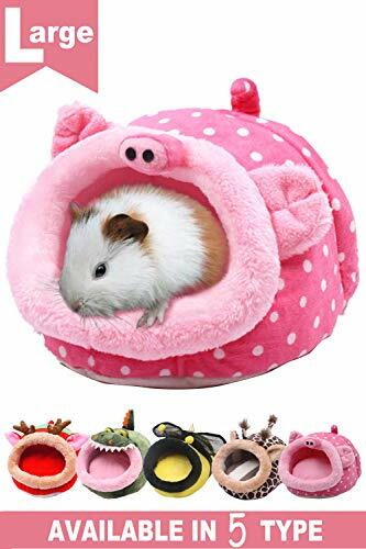 guinea pig toys