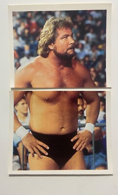 WWF WWE Merlin 1991 - Ted Dibiase Million Dollar Man Wrestling Sticker 206 207