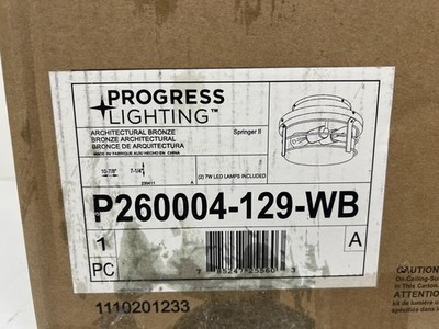 Progress Lighting Springer II Architectural Bronze Rustic (LIGHT KIT)