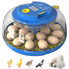 18 Egg Incubator for Hatching Chicken, Duck, Quail Eggs   360  Visible Lid, Auto