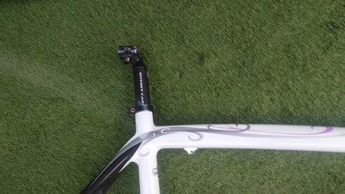 Wilier Triestina Mimosa Womens Medium Carbon Road Bike Frame Set - Picture 6 of 11