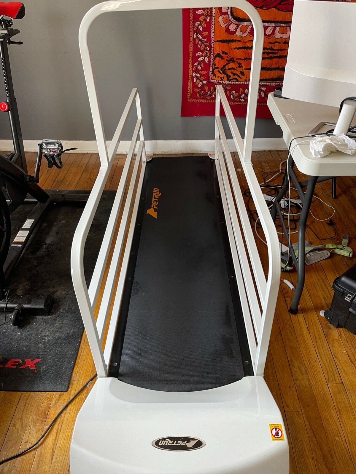 Pet Treadmill. Go Pet USA. Large Breed. PR725. eBay