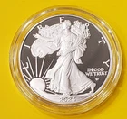 2024-W Proof American Silver Eagle Complete In OGP