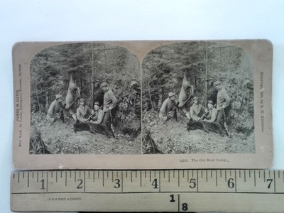Old Bear Camp Hunting Stereoview B.W. Kilburn 1888 James M. Davis Victorian