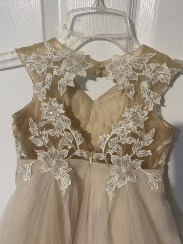 gorgeous dress for wedding, flower girl, princess, or pageant Size 4 - Picture 7 of 8