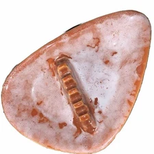 Ashtray USA Ceramic Glazed Pottery Burnt Orange Mid Century Modern Kitchy