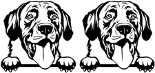 Labrador Retriever Smiling Lab Black Vinyl Graphic Decal Car Truck Window Laptop