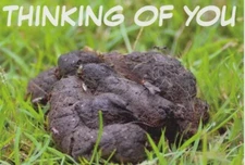 💩 Thinking of You – Pile of Crap Prank Postcard 🐶 Sent Anonymously To Victim