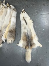MARBLE Finn Raccoon Pelt Natural Color 4X Size 42 Real Fur Hides