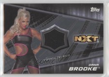 2016 WWE Divas Revolution Mat Relics Silver /50 Dana Brooke (NXT 8/26/15) 04br