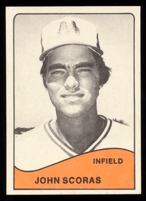 1979 TCMA Memphis Chicks Cards - Choose Your Player, Free Shipping