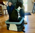 NIB Rover Dog Booster Seat by Kurgo Up To 30 Lbs. Free Shipping — photo 4