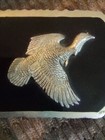 Picture 2 of 5