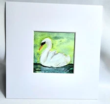 WHITE SWAN swimming original Watercolor Painting -4x4 White Matted To 8x8 