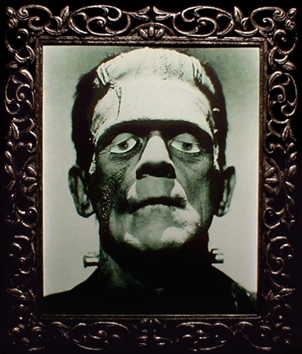Haunted Spooky Frankenstein Photo "Eyes Follow You" 