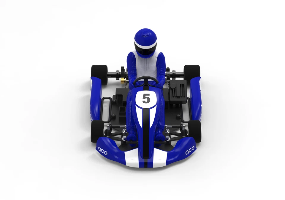 Team Saxo GK-200 1/8 RC Go Kart KIT ARTR Blue Brushless Racing Car Cart Hobby - Image 4 of 4