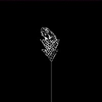 Wetware: Flail - Ltd. Clear Vinyl - - 375 Media - (Vinyl / Experimental)