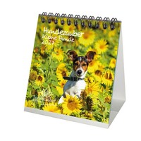 Hundezauber Kleine Hunde Tischkalender 10X10Cm FüR 2027 Welpen Und Kleine Hunde