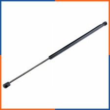 Verin de hayon / de capot Citroen GS