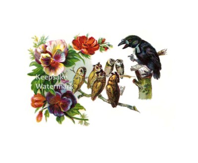 Crow Schools Owls Cotton Crazy Quilt Fabric Block Multi Sizes