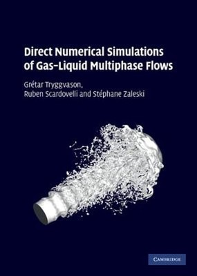Direct Numerical Simulations of Gas-Liquid Multiphase Flows by Tryggvason: Used