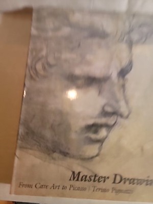 Master Drawings: From Cave Art to Picasso Hardcover w/Dust Jacket EUC Pignatti