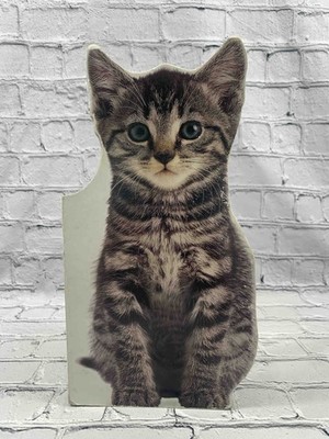 Kitten by Dorling Kindersley Publishing [ ·  · 2000]