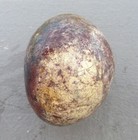 Bild 5 von 11