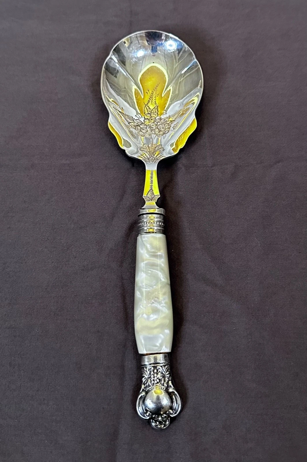 9" Stainless Serving Spoon w Mother of Pearl Handle & Silver Plate Shank / Tip