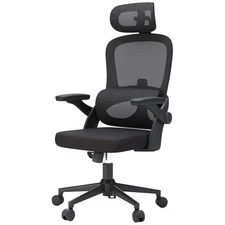  Ergonomic Office Chair, Office Chair with Up&Down Lumbar, High Black Basic