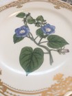 Andrea By Sadek Golden Botanical Purple Iris Floral Cake Plate/Server, New Vtg — photo 8