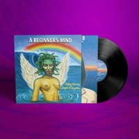 Stevens - Beginner's Mind - Vinyl Record - G3Z
