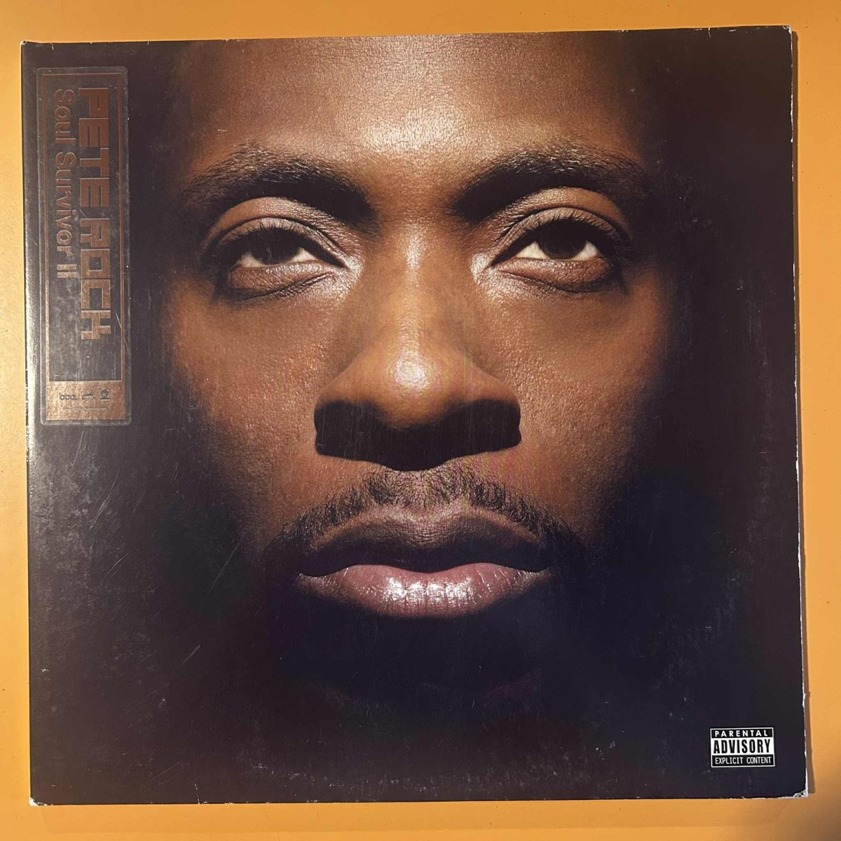 Pete Rock - Soul Survivor II (12 Pete Rock - Soul Survivor II (12