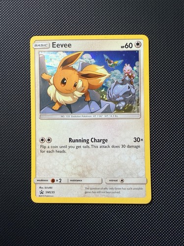 Eevee 2017 Sun & Moon Holo Black Star Promo #SM235