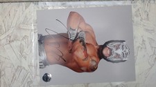 Lince Dorado Signed 8x10 Picture PWT Auto Photo  WWE