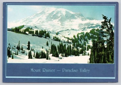 Mount Rainier Paradise Valley National Park Washington Winter Snow Postcard