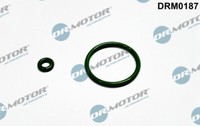 Dr.Motor Automotive DRM0187 Seal Ring, Nozzle Holder For Volvo
