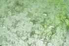 Foto 4 di 8