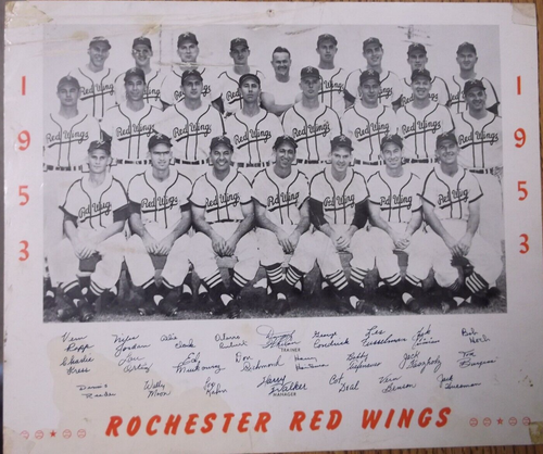 1953 ROCHESTER RED WINGS Team B&W Photo 8x10 - 第 1/1 張圖片
