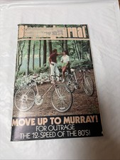 eBay Auction Picture