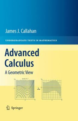 Advanced Calculus : A Geometric View Hardcover James J. Callahan